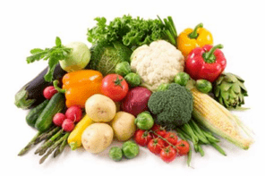 Segundo dia vegetal